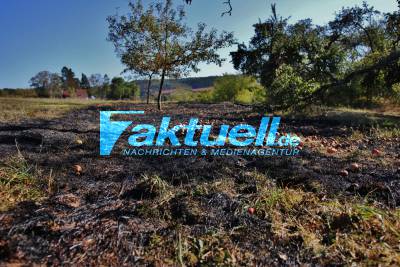 Flächenbrand auf Wiesengrundstück - Grundstücksbesitzer zündet Lagerfeuer auf trockener Wiese an
