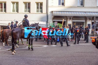 Stuttgart Mitte: Gegenproteste bei AfD Veranstaltung im Rathaus - Vereinzelte Festnahmen