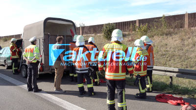 BAB A8, Pferd im Anhänger gestürzt und verletzt. Feuerwehr und Tierarzt im Notfalleinsatz, kurzfristige Vollsperrung der A8 beidseitig