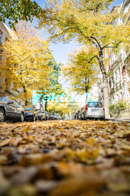 Goldener Herbst in Berlin