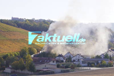 Flammen schlagen meterhoch aus Wohnhaus - Dachstuhl brennt komplett aus - 2 Hunde gerettet