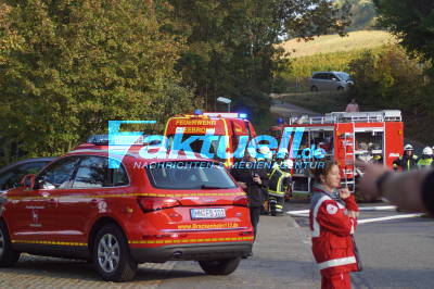 Flammen schlagen meterhoch aus Wohnhaus - Dachstuhl brennt komplett aus - 2 Hunde gerettet