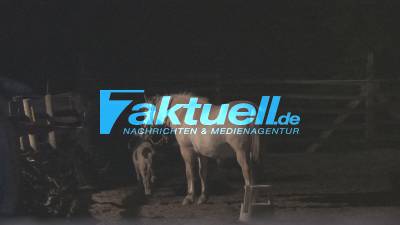 Stallung des Aktivspieplatz Raitlesberg brennt nieder, Flammen greifen auf Werkstattgebäude über
