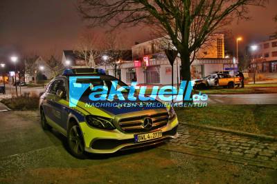 Flucht vor der Polizei - Audi Fahrer prallt frontal gegen Baum - 2 Verletzte