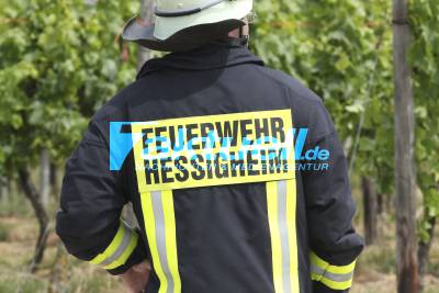 Kletterer im Hessigheimer Felsengarten abgestürzt, Bergung mit zwei Rettungshubschraubern