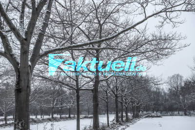 Wunderschöne Winterlandschaften - Verschneiter 3. Advent: Erster Schnee im Flachland sorgt für verschneite und rutschige Straßen im Kreis Karlsruhe