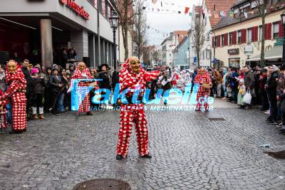 12. Faschingsumzug Brackenheim - Lustiges Treiben in der Altstadt von der Theodor Heuss Stadt Brackenheim - Einsatzkräfte blockieren teils Zufahrtswege  der Innenstadt 
