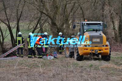 Rind stürzt in die Murr und ertrinkt - Bergungseinsatz für die Feuerwehren Kirchberg und Backnang