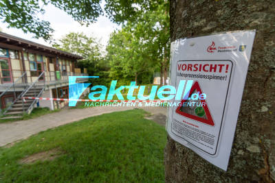 Gefährlicher Eichenprozessionsspinner macht sich im Landkreis Esslingen breit: Spielplatz in Denkendorf von Feuerwehr abgesperrt - Bilder der Larven und Absperrung