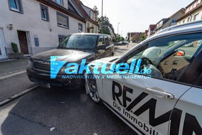 9 Monte alter Hundewelpe wird bei Unfall durchs Auto geschleudert - Anwohnerin kümmert sich sofort - Frau verletzt bei Unfall in Köngen