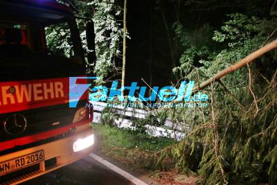 Pickup kommt von der Fahrbahn ab, fällt mehrere Bäume, schanzt einen Abhang hinab und bleibt im Gestrüpp liegen