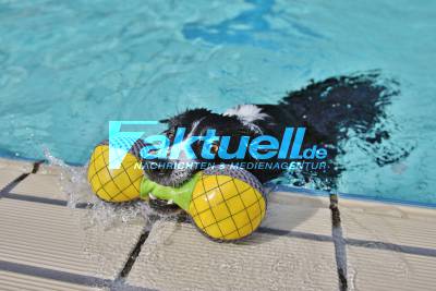 Hundebadetag im Wonnemar Backnang