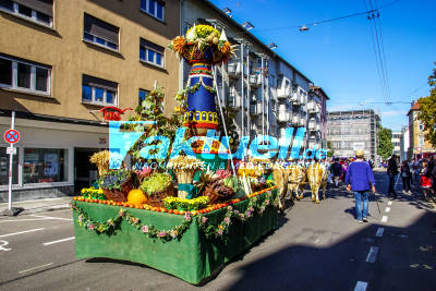 Volksfest 2019: Zahlreiche Besucher bei traditionellem Volksfestumzug