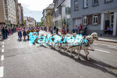 Volksfest 2019: Zahlreiche Besucher bei traditionellem Volksfestumzug