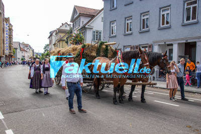 Volksfest 2019: Zahlreiche Besucher bei traditionellem Volksfestumzug