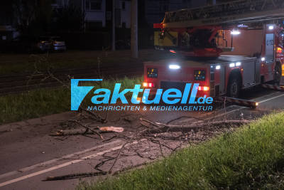 Sturmschaden in Stuttgart Münster an SSB Haltestelle Freibergstrasse, Feuerwehr sichert Baum und sägt morsche Äste ab. Drehleiter im Einsatz.