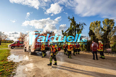 Brandstiftung - Baum brennt im Scharnhauser Park - Feuerwehreinsatz in Ostfildern