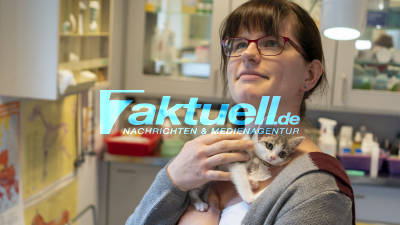 Happy-End nach Tierquälerei: Misshandeltes Katzenkind Ajuna hat OP überstanden und ist auf dem Weg der Besserung