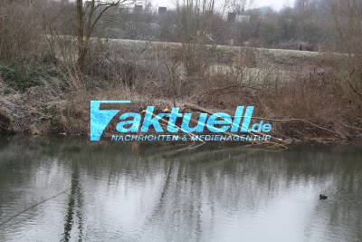 Biberschäden am Neckar bei Plochingen