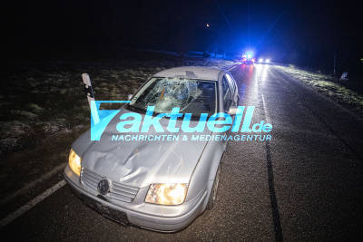 Polizei erschießt Kuh nach Unfall: Auto kracht mitten in der Nacht in Kuhherde - Polizei muss angefahrene Kuh erschießen - Fahrzeug Totalschaden