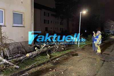 Weitere Sturmböen bringen Bäume zum Umstürzen, in Esslingen kracht ein Baum auf die Straße zwischen Mehrfamilienhaus und parkenden Autos