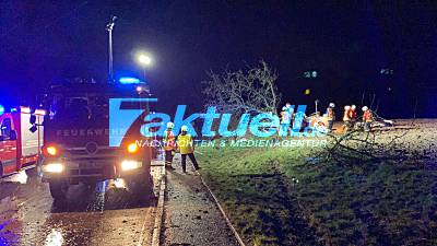 PKW kommt von Fahrbahn ab und prallt frontal gegen Baum- Fahrer schwer verletzt