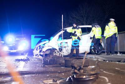 Kleiner Hund überlebt Crash: 2 Schwerverletzte bei heftigem Frontalzusammenstoß - Feuerwehr rettet zwei eingeklemmte Insassen - Verursacher unter Alkoholeinfluss