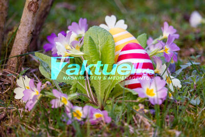 Symbolbilder von Ostereiern und Pflanzen die im Frühling blühen - Österliche Impressionen bei herrlichem Sonnenschein