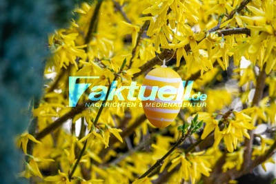 Symbolbilder von Ostereiern und Pflanzen die im Frühling blühen - Österliche Impressionen bei herrlichem Sonnenschein
