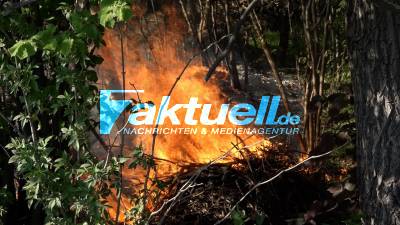 Waldbrandstufe 4: Feuerwehr muss Feuer neben Kreisstraße löschen - Kommandant warnt vor Feuer machen im Wald