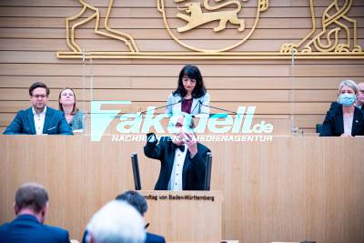 117. Plenarsitzung im Landtag Baden Württemberg - Turbulenter Start nach Wochen der Auszeit