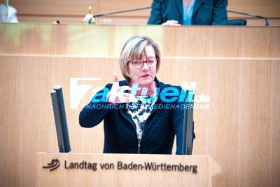 118. Plenarsitzung im Landtag von BW - Masken im Landtag und weitere Impressionen