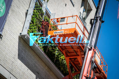 Fassade wird begrünt: Volkshochschule in Stuttgart bepflanzt Fassade Grün