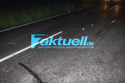 Kuh wird im Nebel mit hoher Geschwindigkeit frontal von PKW erfasst und stirbt im Graben: Fahrer nach schwerem Zusammenstoß verletzt - er hatte keine Chance