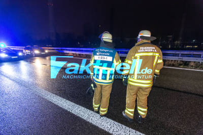 Doppelcrash auf der B10 mit 4 Verletzten! Wurde ein Fuchs dem BMW-Fahrer zum Verhängnis? Weiterer Unfall im Stau dahinter - Feuerwehr im Einsatz