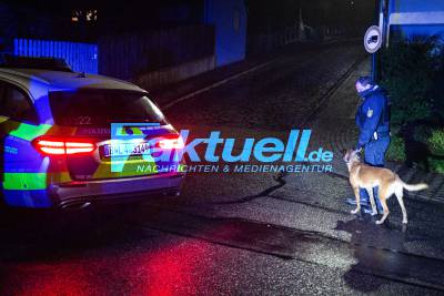 Großeinsatz der Polizei mit etwa 10 Streifenwagen und zwei Polizeihundeführern nach offensichtlicher Massenschlägerei in Hausen an der Zaber
