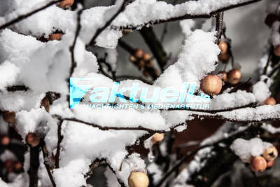 Neuffen im Schneekleid bei Nacht - Keine Menschen auf der Straße