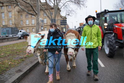 Bauern demonstrieren mit Traktoren vor Landtag von Baden Württemberg in Stuttgart