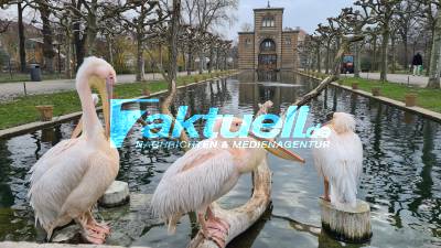 Zoo in Stuttgart öffnet: Ab Mittwoch sind in der Wilhelma Tiere und Pflanzen im Außenbereich zugänglich