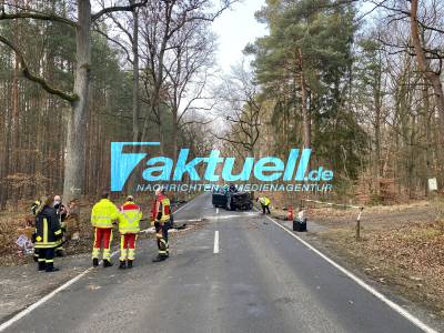 Dramatische Rettungsaktion nach schweren Verkehrsunfall auf Allee in Brandenburg - Person über 1 Stunde schwerst eingeklemmt und musste aufwendig mit schwerem Gerät befreit werden. - Rettungshubschrauber im Einsatz - Fahrer ist lebensbedrohlich verletzt 2