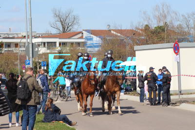 Großaufgebot der Polizei bei der Demo in Sinsheim
