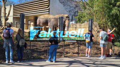 Auch Stuttgarter Zoo schließt wieder - Bilder aus der Wilhelma vom Montag