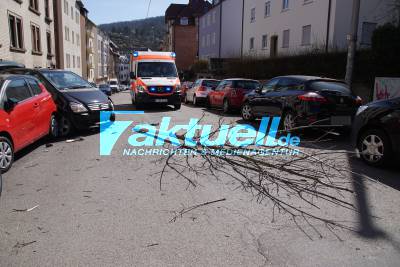 PKW prallt gegen Baum - hoher Sachschaden