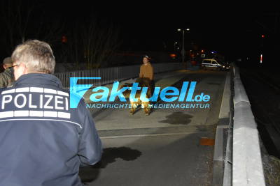 Hochlandrinder in Sinsheim ausgebüchst - Beinahekollission mit einem Nahverkehrszug