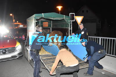 Hochlandrinder in Sinsheim ausgebüchst - Beinahekollission mit einem Nahverkehrszug