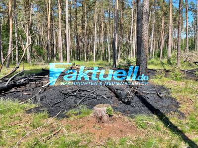 Waldbrände an 2 Tagen in Vielitz (OPR) -Treibt ein Brandstifter sein Unwesen? - Erneut brennt es bei Vielitz in einem Waldstück 2 Waldbrände in 2 Tagen Drohnen Aufnahmen zeigen das Ausmaß