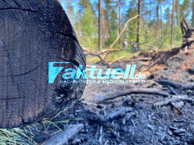 Waldbrände an 2 Tagen in Vielitz (OPR) -Treibt ein Brandstifter sein Unwesen? - Erneut brennt es bei Vielitz in einem Waldstück 2 Waldbrände in 2 Tagen Drohnen Aufnahmen zeigen das Ausmaß