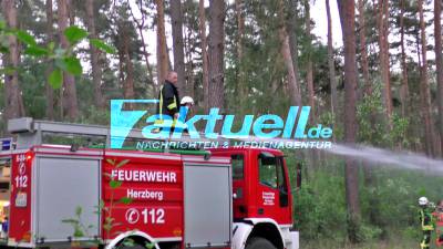 Wieder brennt der Wald in Ostprignitz Ruppin - ca. 1000 Quadratmeter Waldboden stehen in Flammen - 