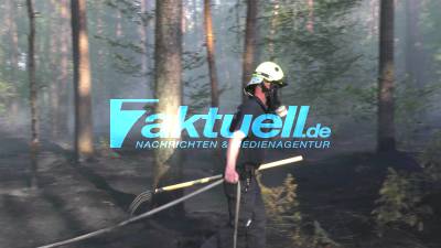 (BB) Hitzewelle - Bei über 35 Grad wieder ein Waldbrand - Feuer droht auf Munitionsbelastetes Gebiet überzugreifen - Waldbrand in Wulkow (OPR) - Feuerwehr im Großeinsatz unter anderem ein Waldbrandzug hinzugerufen - Rund 1  Hektar Wald brannte aus. 