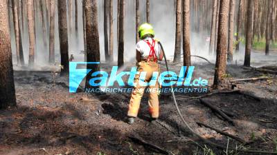 (BB) Treibt ein Brandstifter sein unwesen? - Gleich mehrere Waldbrände innerhalb von kürzester Zeit in Ostprignitz-Ruppin - Hitzebelastung für die Feuerwehr - Retter müssen viel trinken